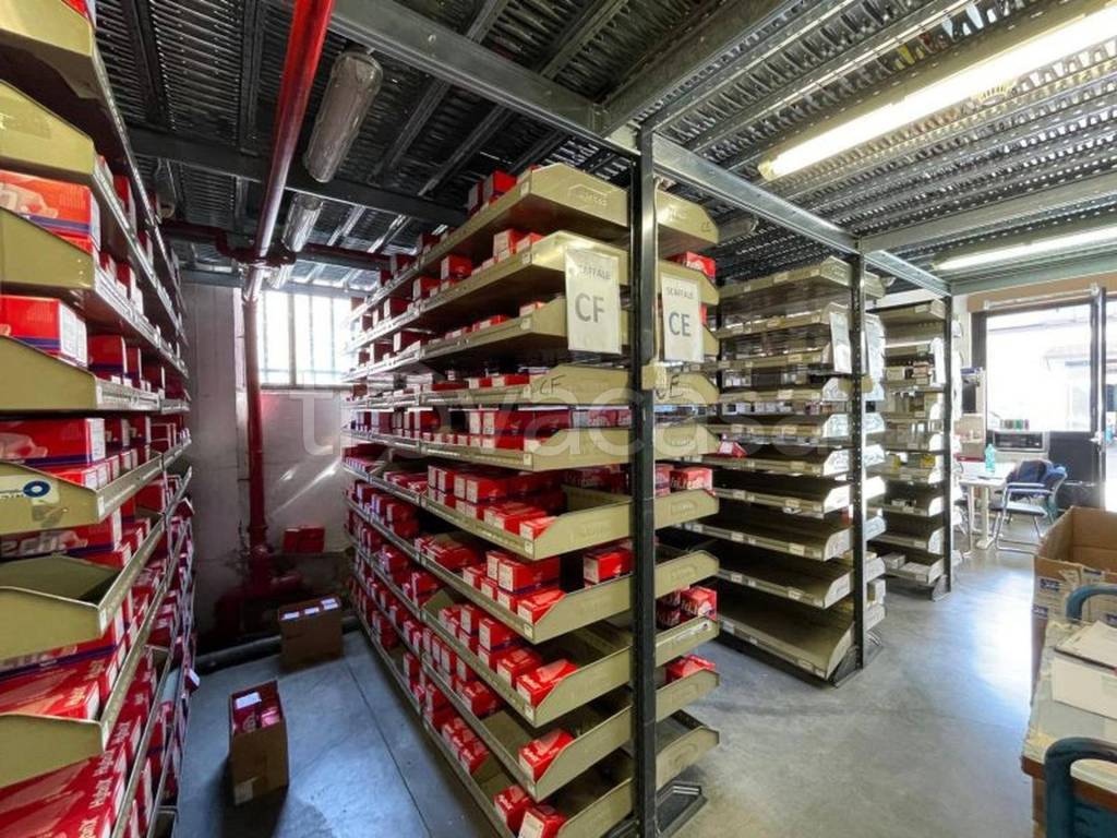 immagine annuncio 4 di 15