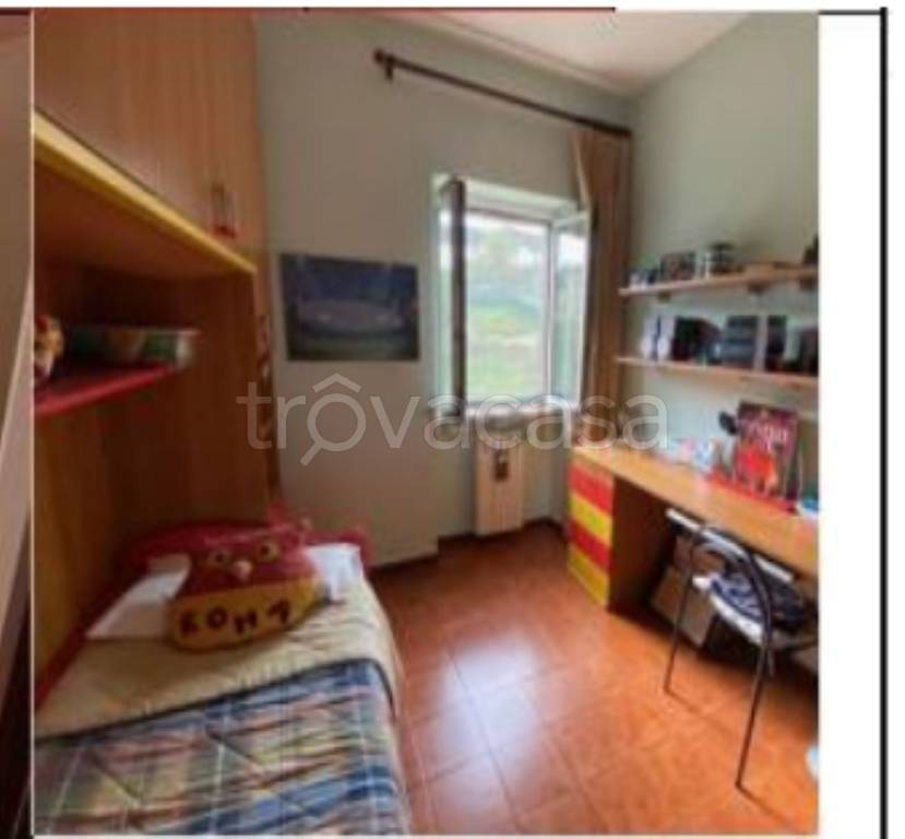 immagine annuncio 5 di 12