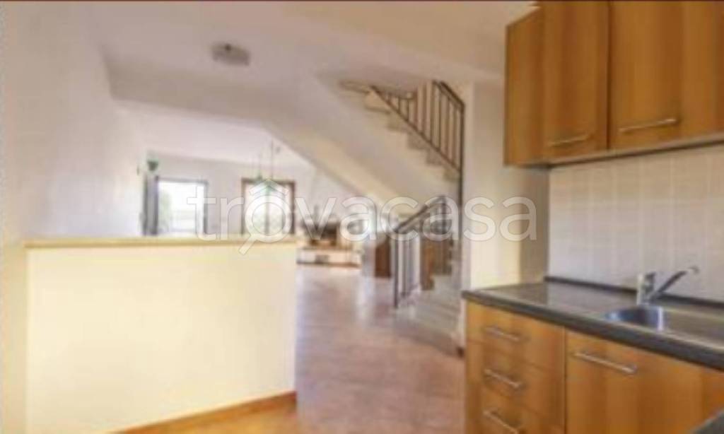 immagine annuncio 9 di 12