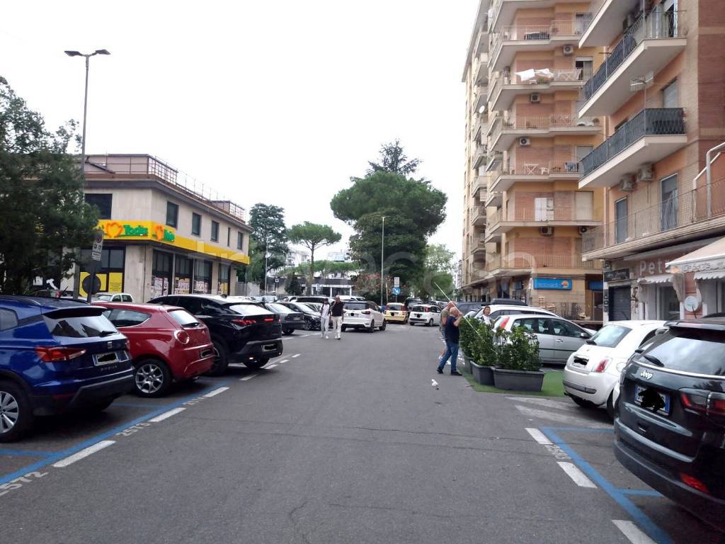 immagine annuncio 5 di 6