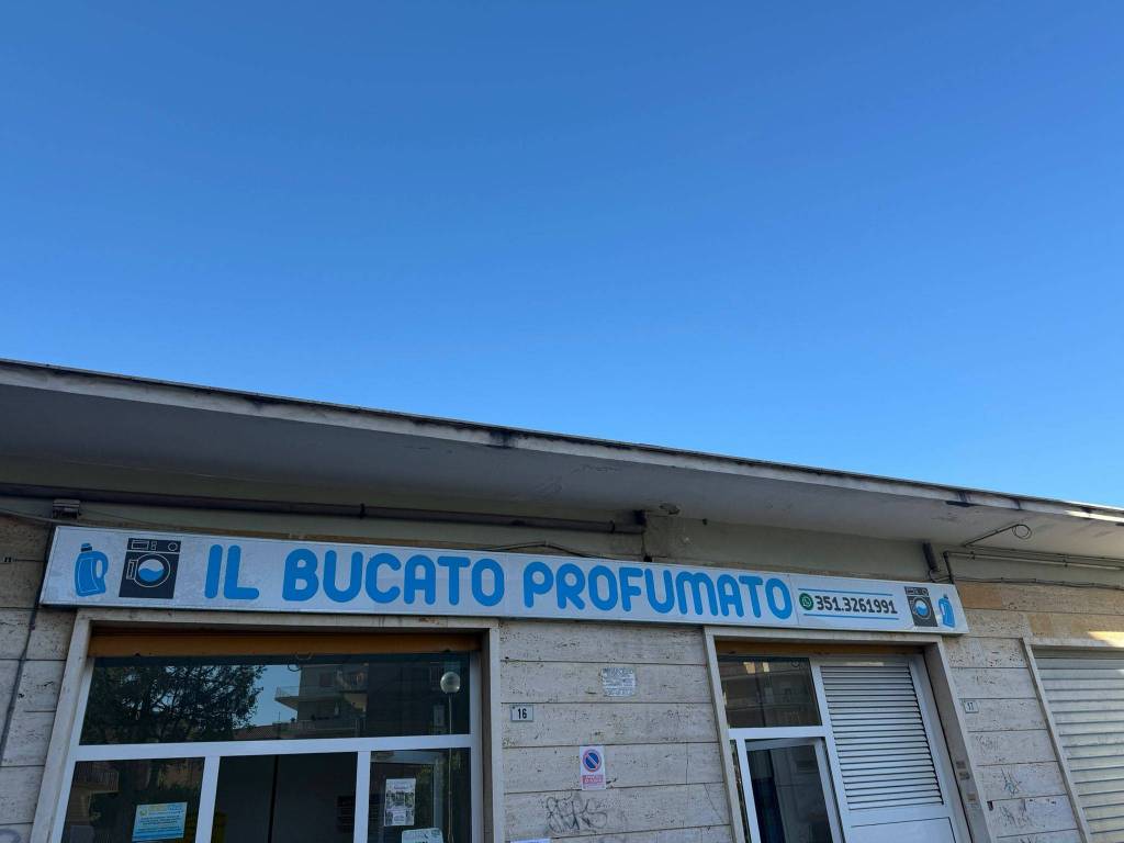 immagine annuncio 4 di 6
