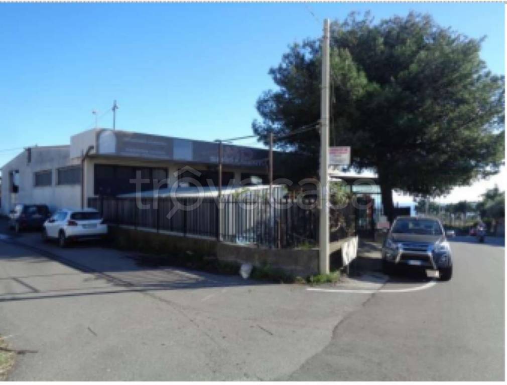 immagine annuncio 1 di 9