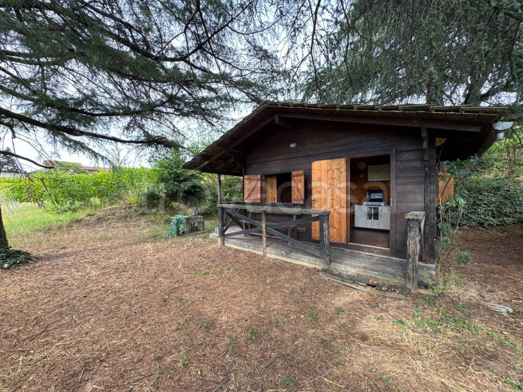 immagine annuncio 2 di 15