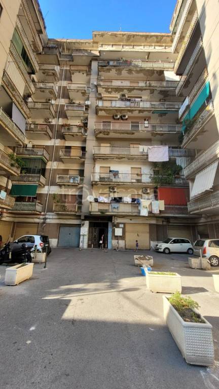 immagine annuncio 1 di 12