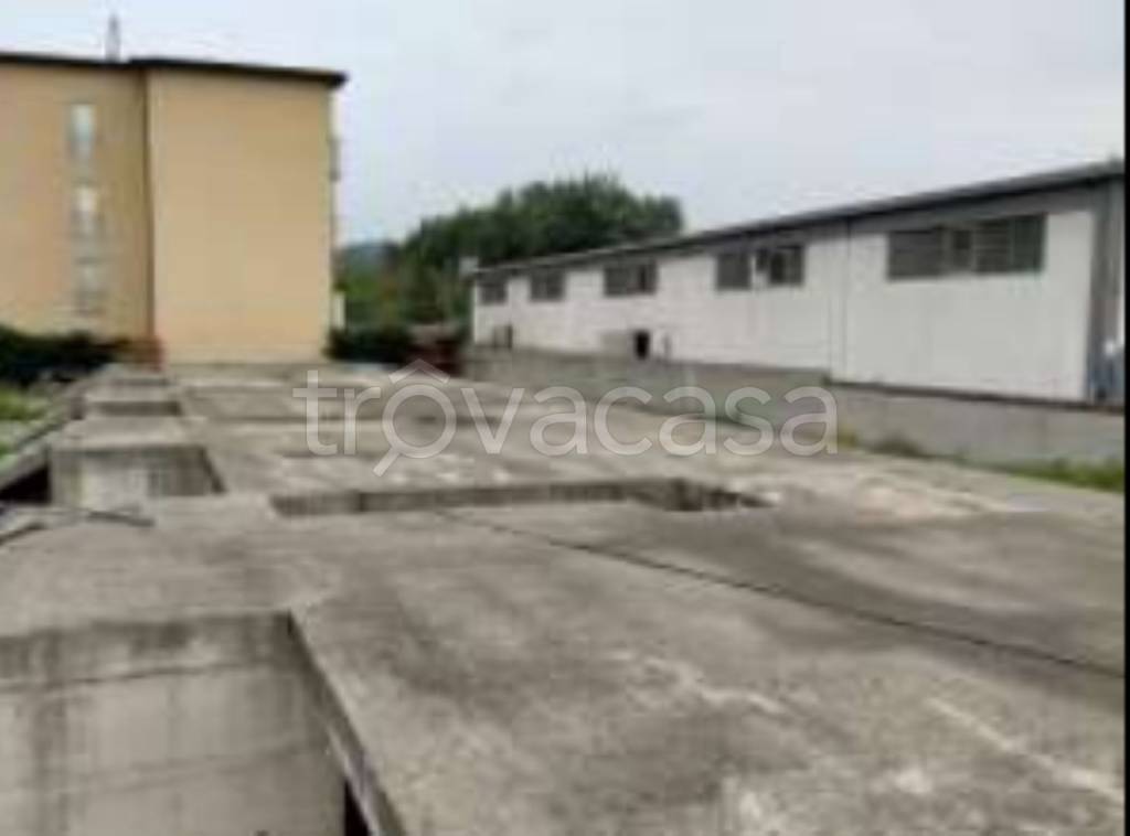 immagine annuncio 5 di 9