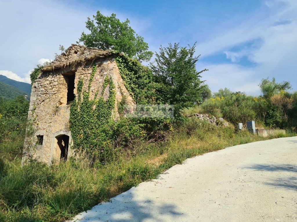 immagine annuncio 6 di 7