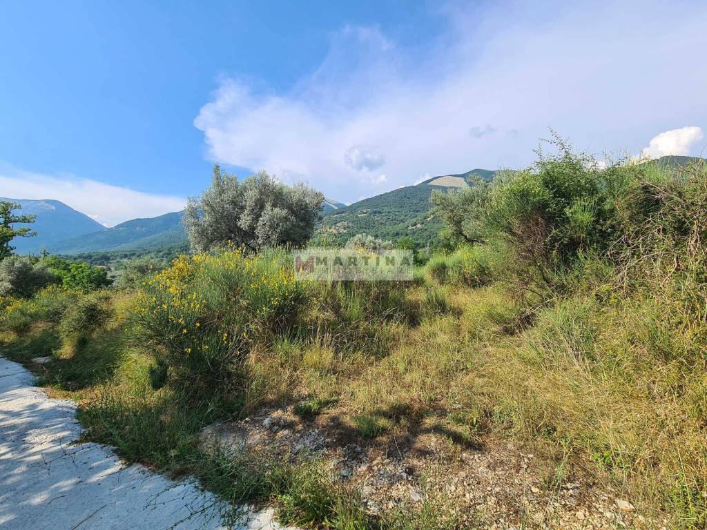 immagine annuncio 2 di 7