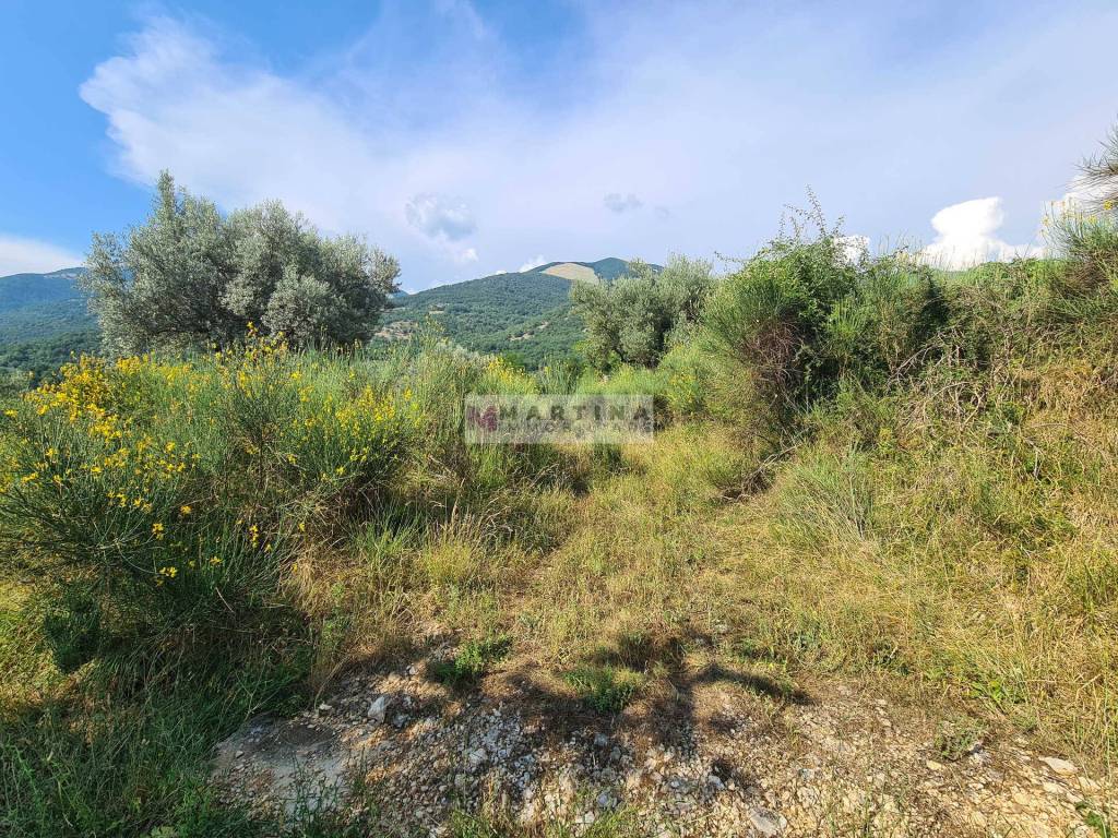 immagine annuncio 3 di 7