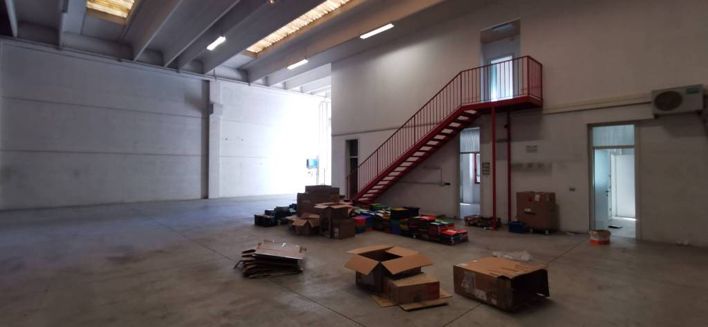 immagine annuncio 4 di 15