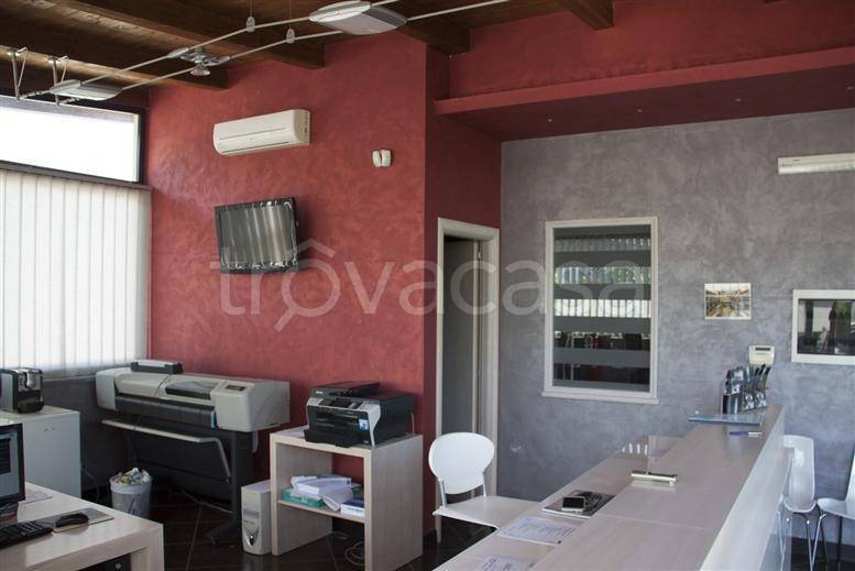 immagine annuncio 3 di 11