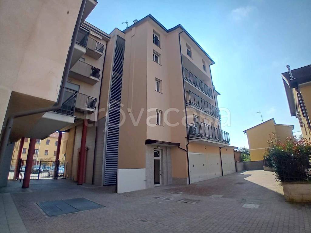 immagine annuncio 1 di 15