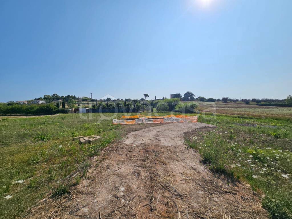 immagine annuncio 4 di 12