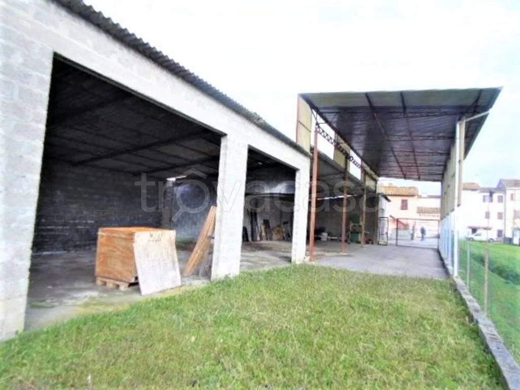 immagine annuncio 3 di 11
