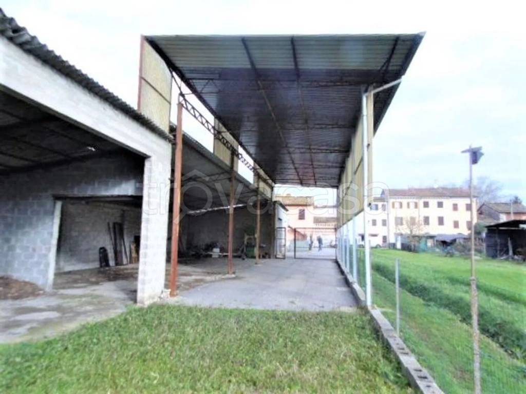 immagine annuncio 5 di 11
