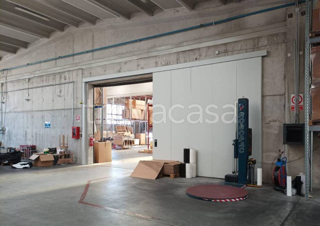 immagine annuncio 11 di 14