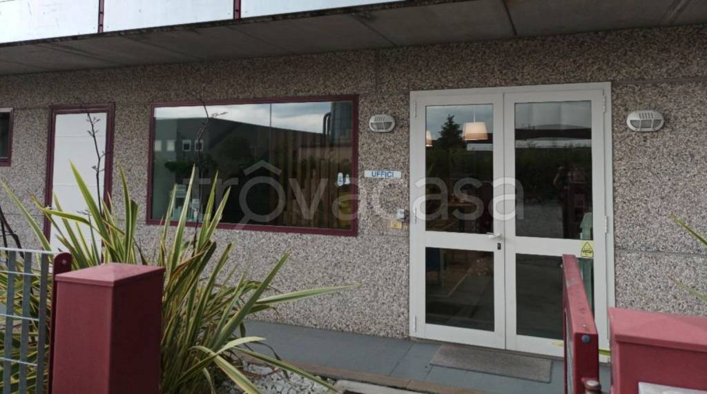 immagine annuncio 1 di 14