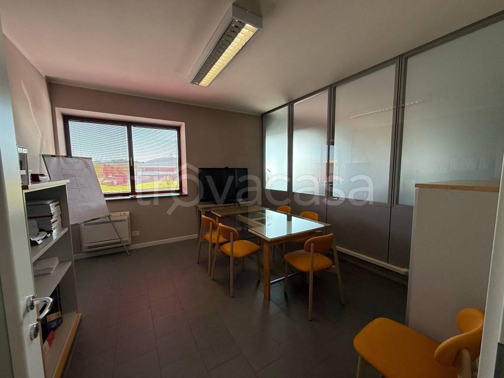 immagine annuncio 6 di 14