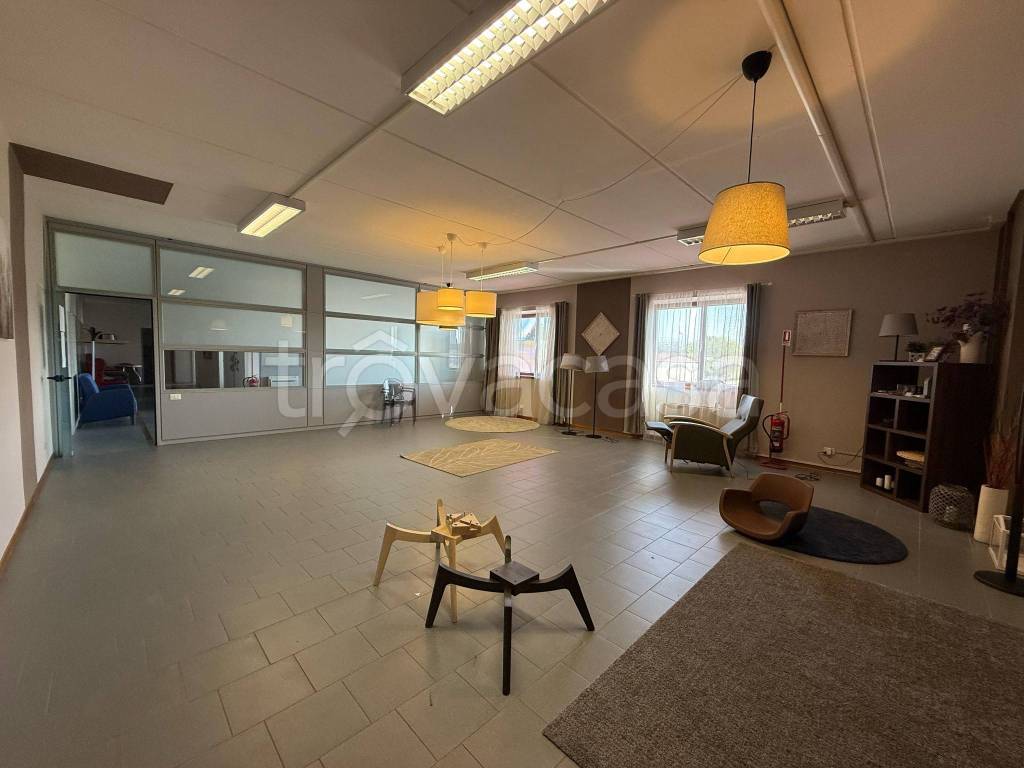 immagine annuncio 10 di 14