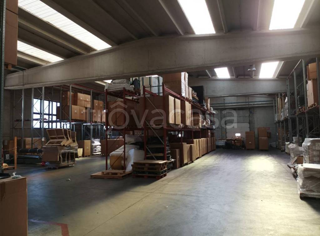 immagine annuncio 13 di 14