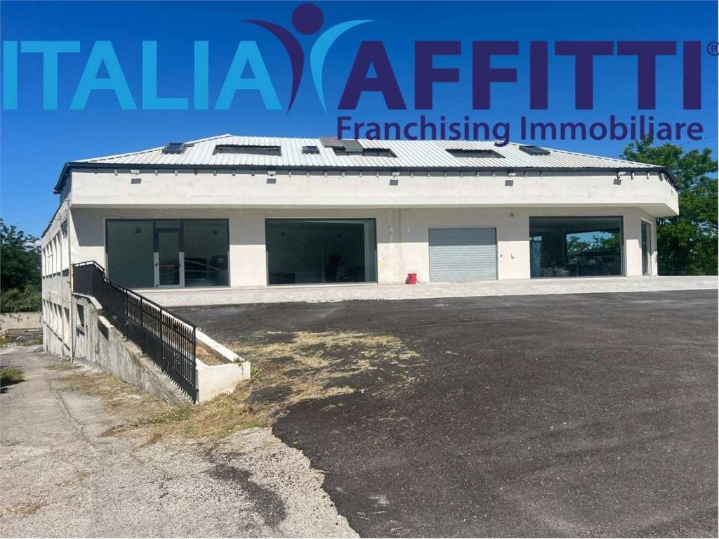 immagine annuncio 2 di 11
