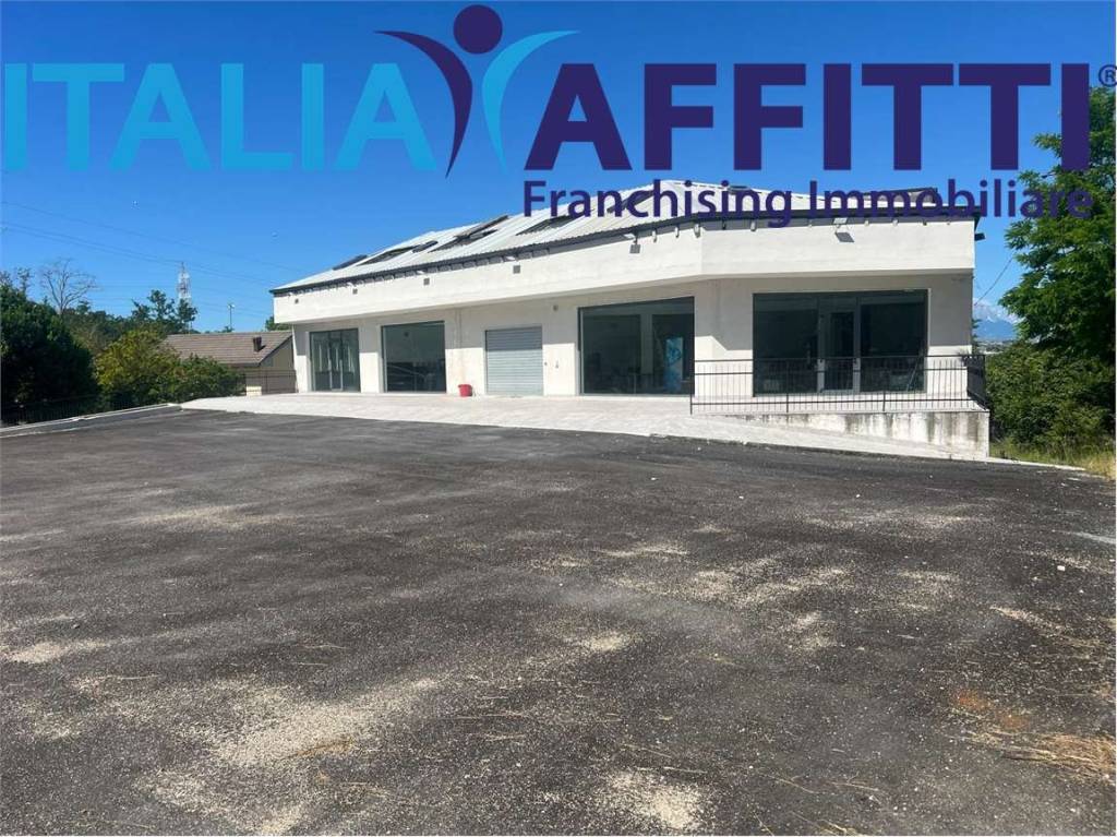 immagine annuncio 3 di 11
