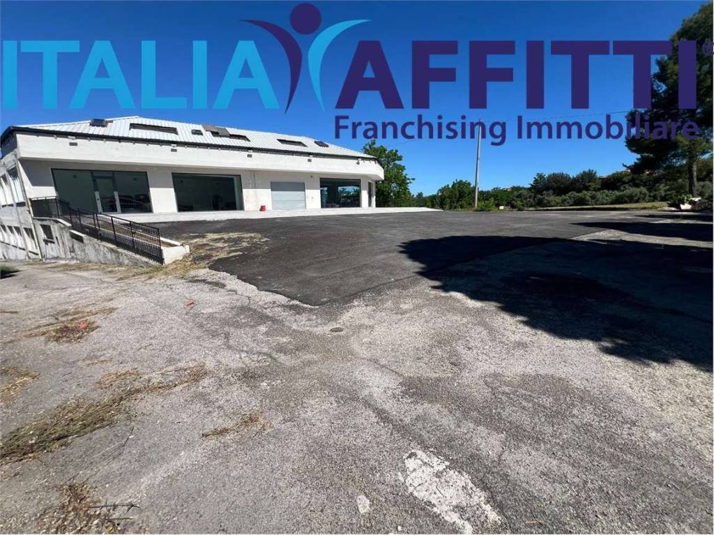 immagine annuncio 4 di 11