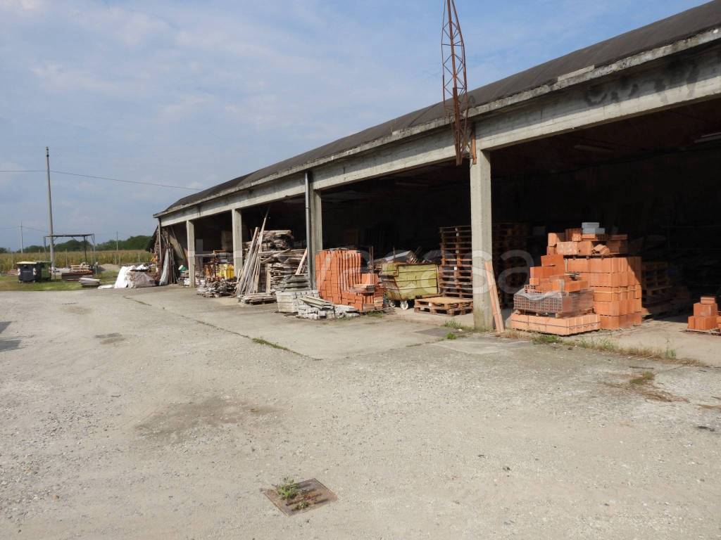 immagine annuncio 10 di 15