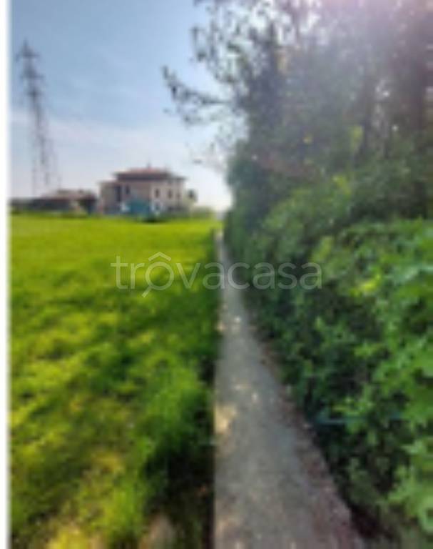 immagine annuncio 8 di 11