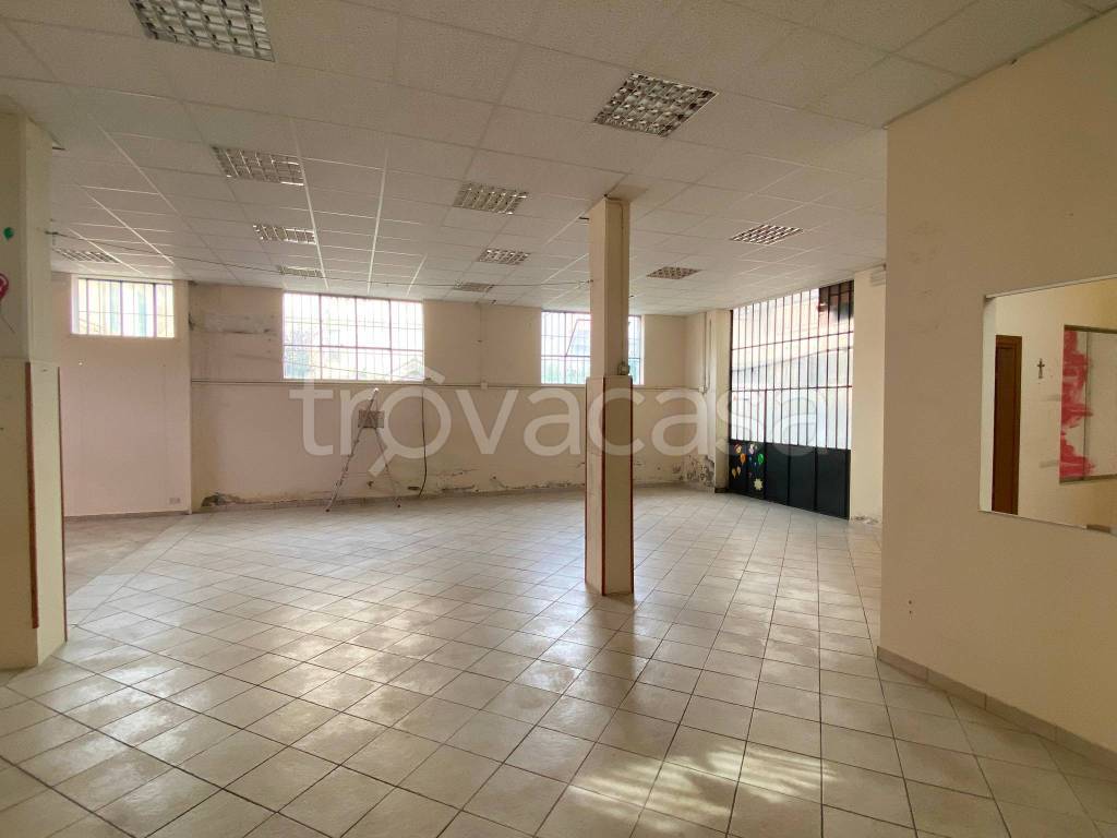 immagine annuncio 3 di 14