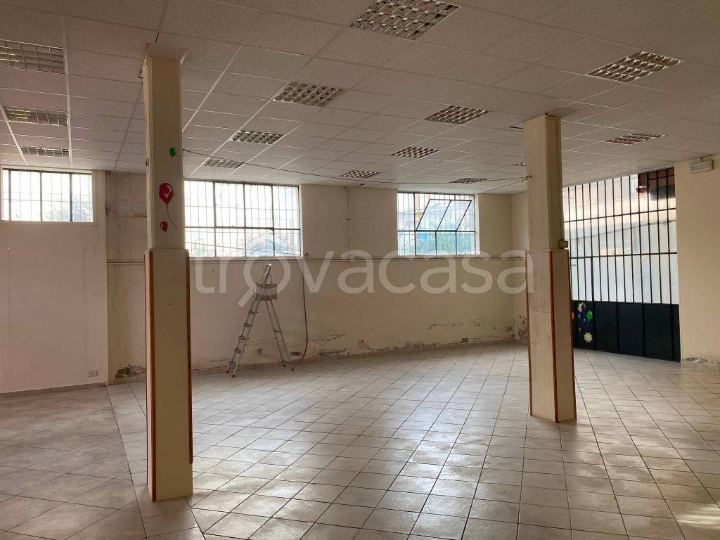 immagine annuncio 4 di 14