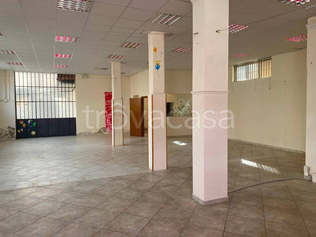 immagine annuncio 6 di 14