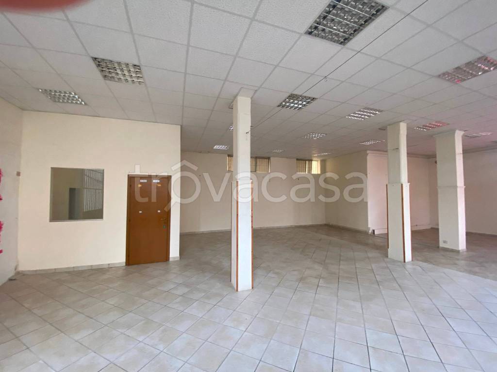 immagine annuncio 7 di 14