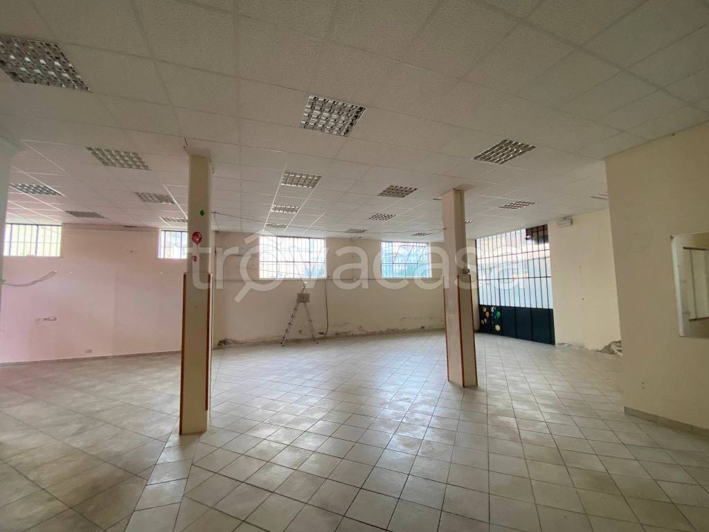 immagine annuncio 9 di 14