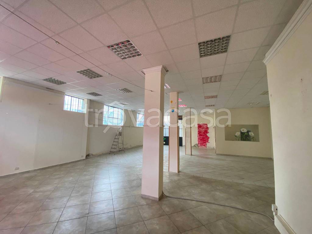 immagine annuncio 10 di 14