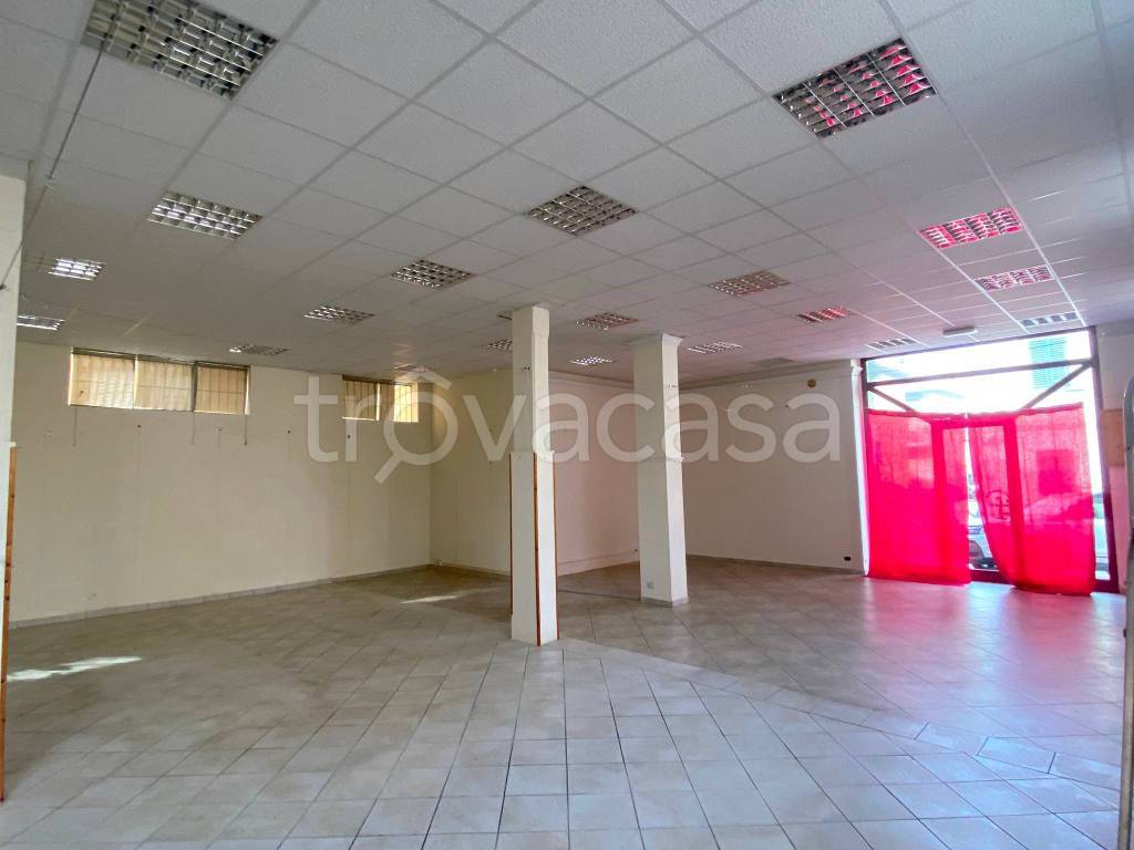 immagine annuncio 5 di 14