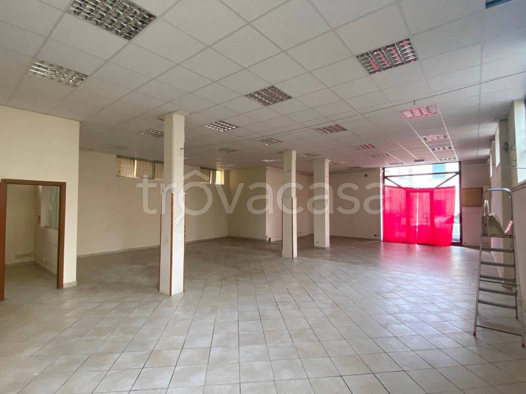 immagine annuncio 11 di 14