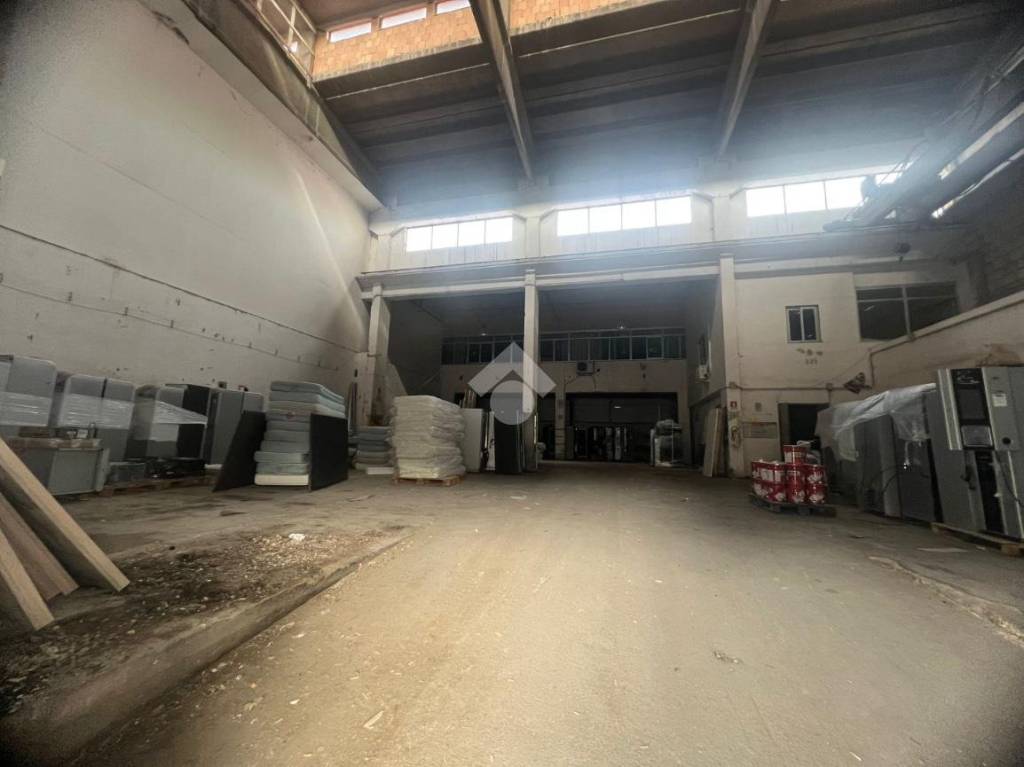 immagine annuncio 3 di 8