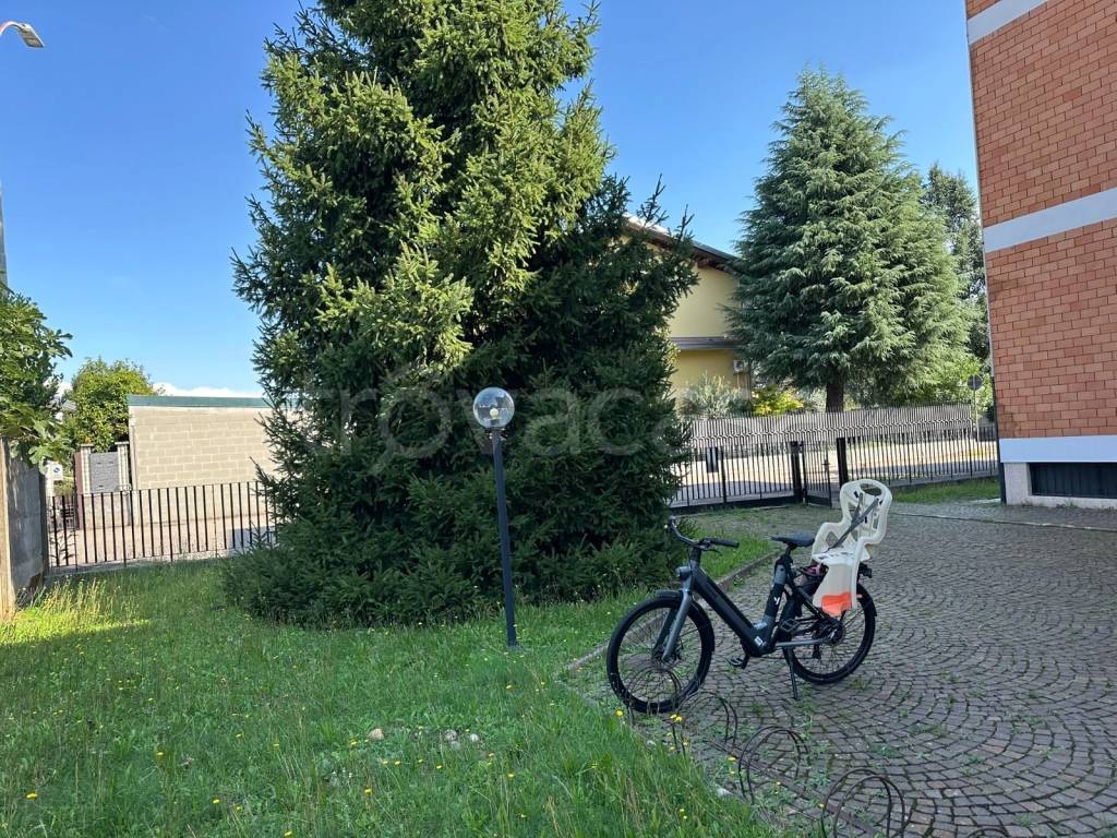 immagine annuncio 13 di 14