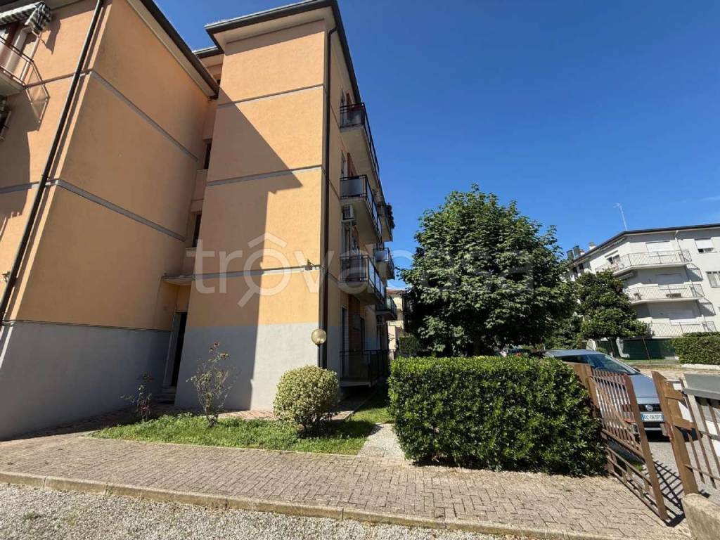 immagine annuncio 8 di 11