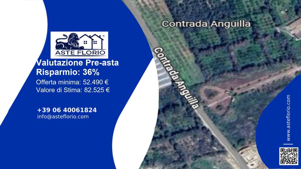 immagine annuncio 1 di 12