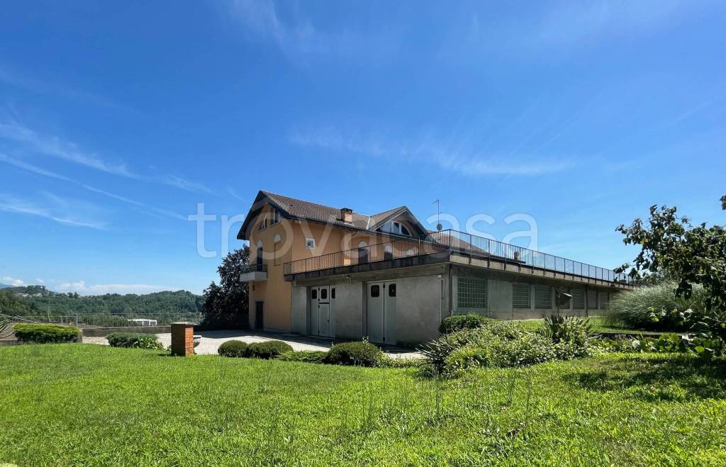 immagine annuncio 3 di 14