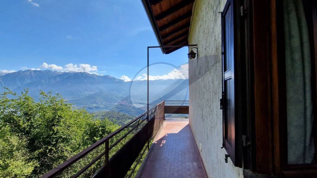 immagine annuncio 11 di 14