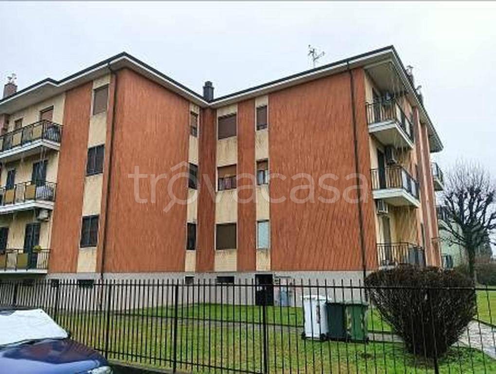 immagine annuncio 1 di 12
