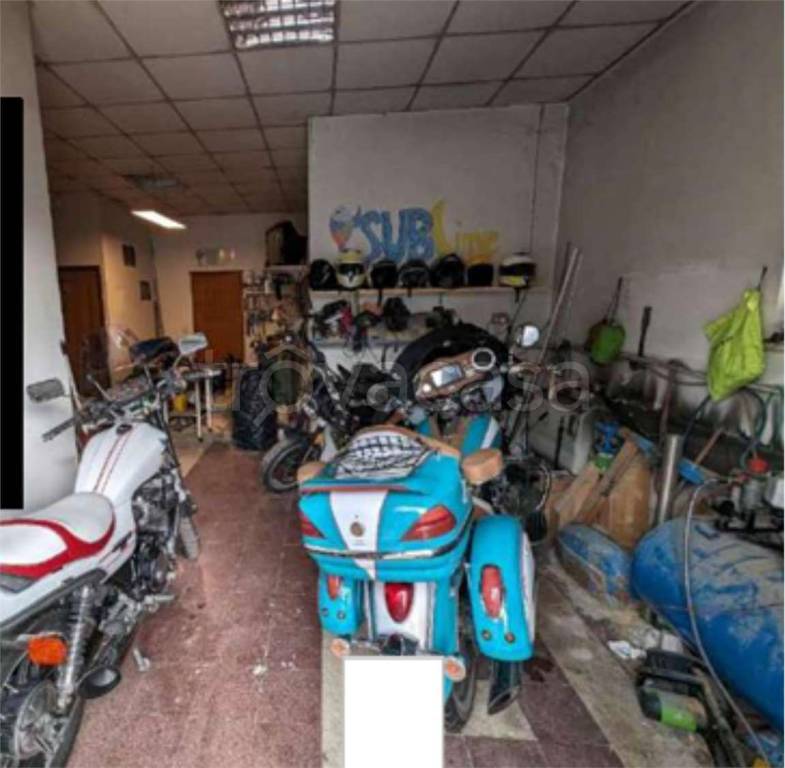 immagine annuncio 11 di 15