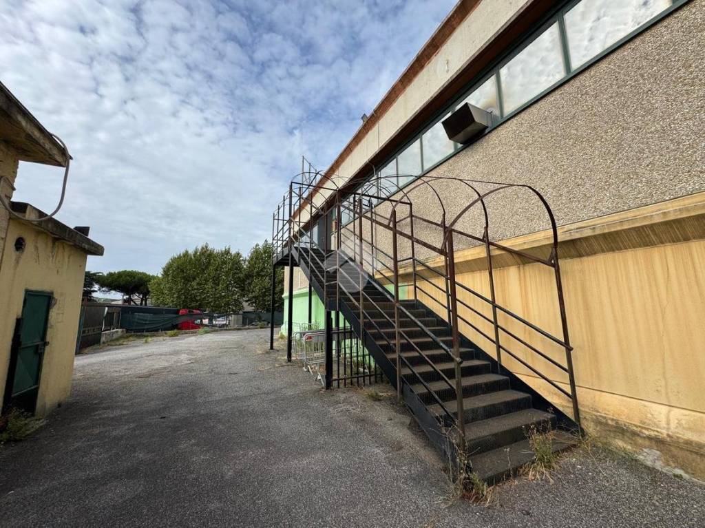immagine annuncio 8 di 13