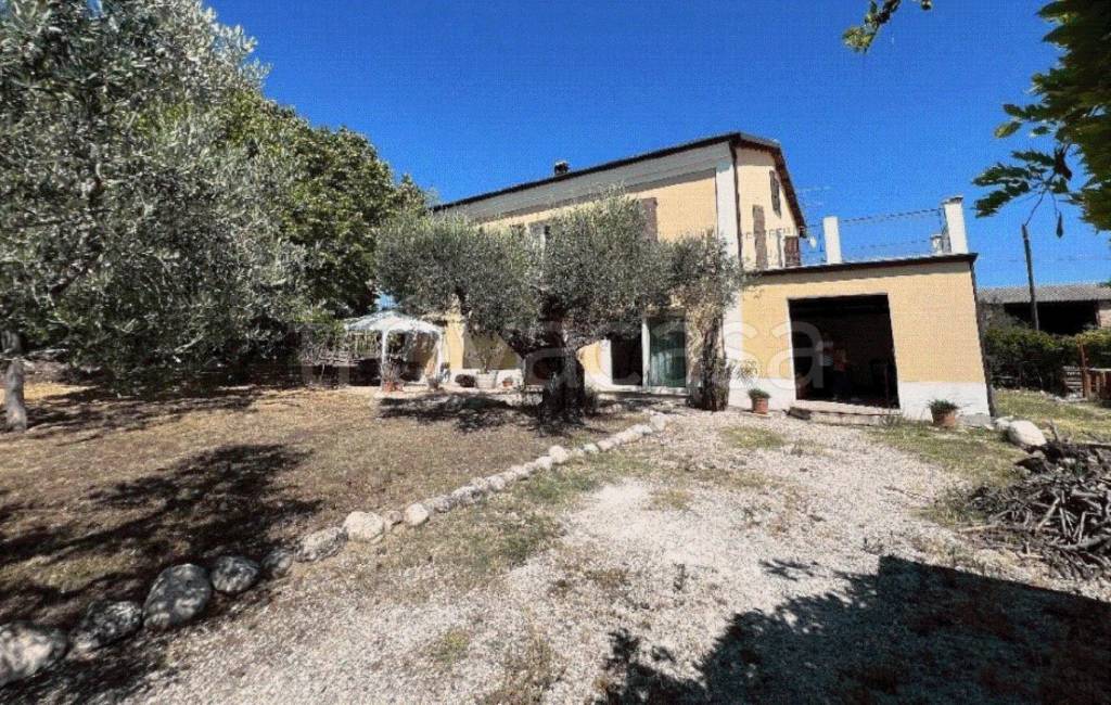 immagine annuncio 9 di 11