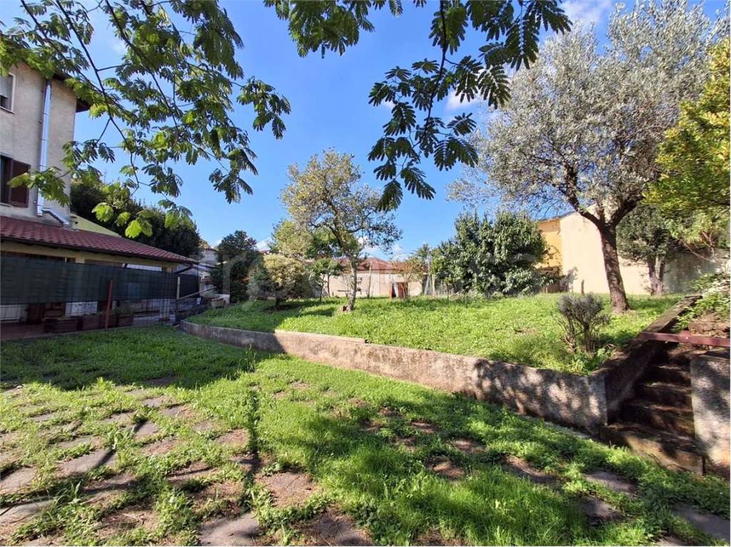 immagine annuncio 5 di 12