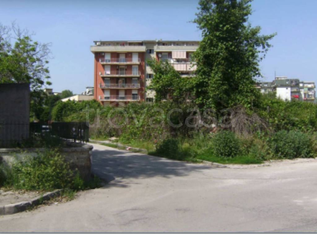 immagine annuncio 7 di 11