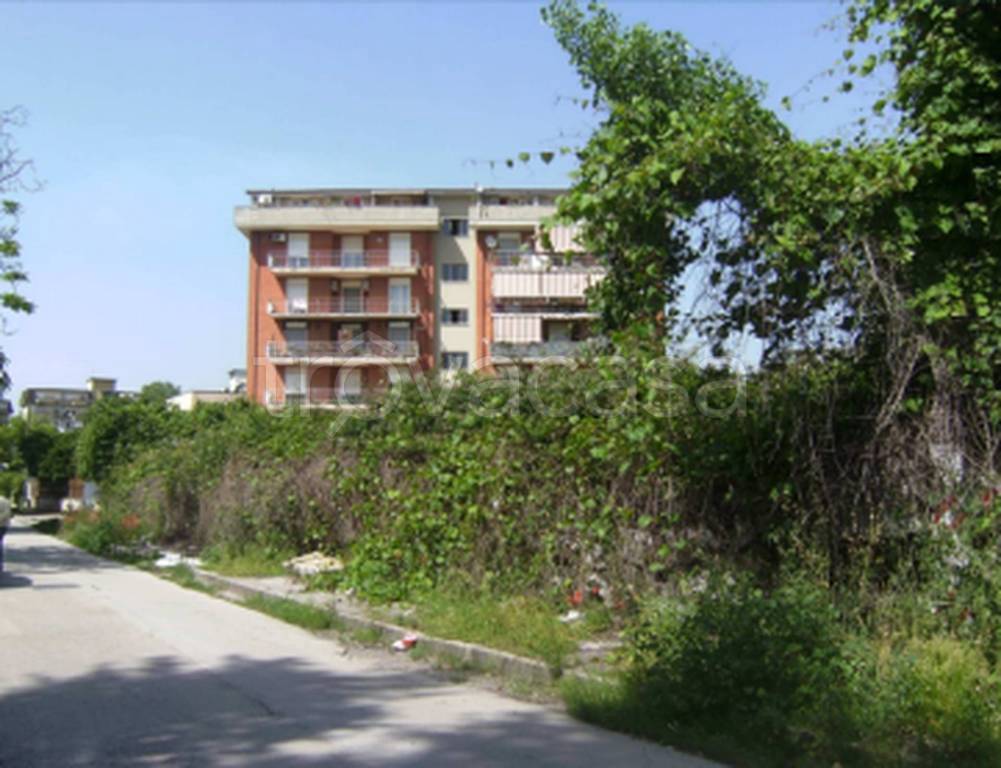 immagine annuncio 8 di 11