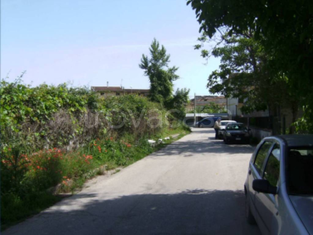 immagine annuncio 10 di 11